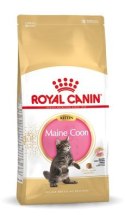 Royal Canin FBN Maine Coon Kitten - sucha karma dla kociąt - 10kg Royal Canin