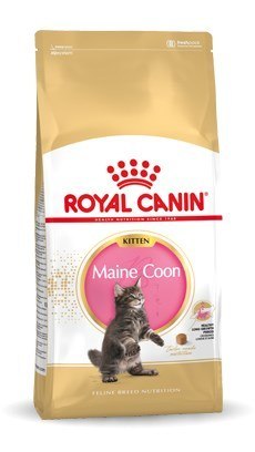 Royal Canin FBN Maine Coon Kitten - sucha karma dla kociąt - 10kg Royal Canin