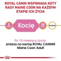 Royal Canin FBN Maine Coon Kitten - sucha karma dla kociąt - 10kg Royal Canin