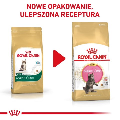 Royal Canin FBN Maine Coon Kitten - sucha karma dla kociąt - 10kg Royal Canin Royal Canin FBN Maine Coon Kitten - sucha karma dla kociąt - 10kg Royal Canin