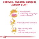 Royal Canin FBN Maine Coon Kitten - sucha karma dla kociąt - 10kg Royal Canin