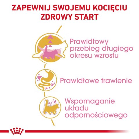 Royal Canin FBN Maine Coon Kitten - sucha karma dla kociąt - 10kg Royal Canin Royal Canin FBN Maine Coon Kitten - sucha karma dla kociąt - 10kg Royal Canin