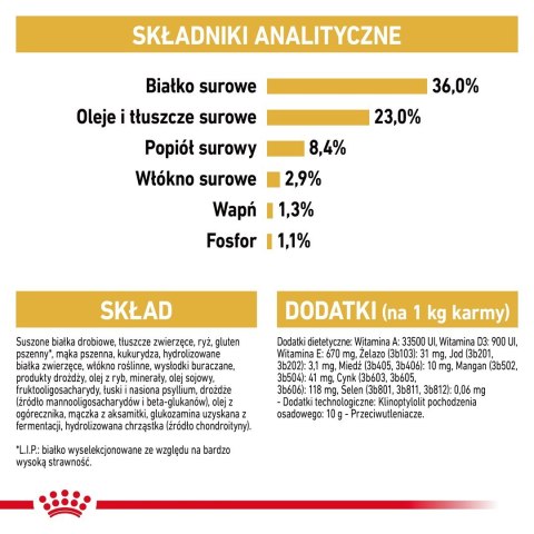 Royal Canin FBN Maine Coon Kitten - sucha karma dla kociąt - 10kg Royal Canin Royal Canin FBN Maine Coon Kitten - sucha karma dla kociąt - 10kg Royal Canin