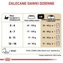 Royal Canin FBN Maine Coon Kitten - sucha karma dla kociąt - 10kg Royal Canin