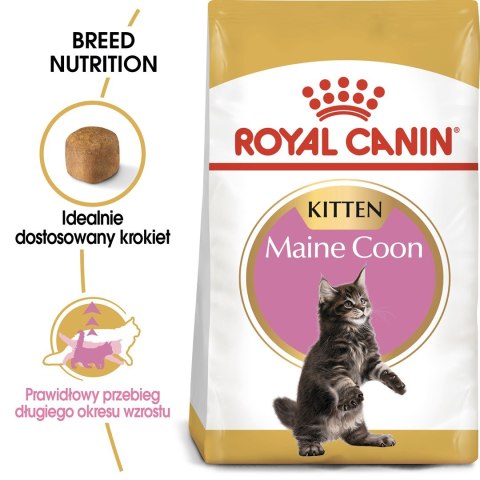 Royal Canin FBN Maine Coon Kitten - sucha karma dla kociąt - 10kg Royal Canin Royal Canin FBN Maine Coon Kitten - sucha karma dla kociąt - 10kg Royal Canin