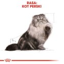 Royal Canin FBN Persian Adult - sucha karma dla kota dorosłego - 4kg Royal Canin
