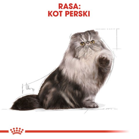 Royal Canin FBN Persian Adult - sucha karma dla kota dorosłego - 4kg Royal Canin Royal Canin FBN Persian Adult - sucha karma dla kota dorosłego - 4kg Royal Canin