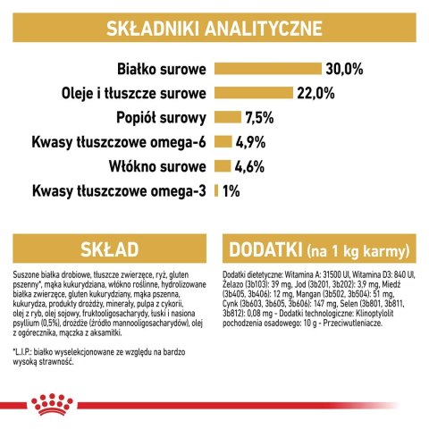 Royal Canin FBN Persian Adult - sucha karma dla kota dorosłego - 4kg Royal Canin Royal Canin FBN Persian Adult - sucha karma dla kota dorosłego - 4kg Royal Canin