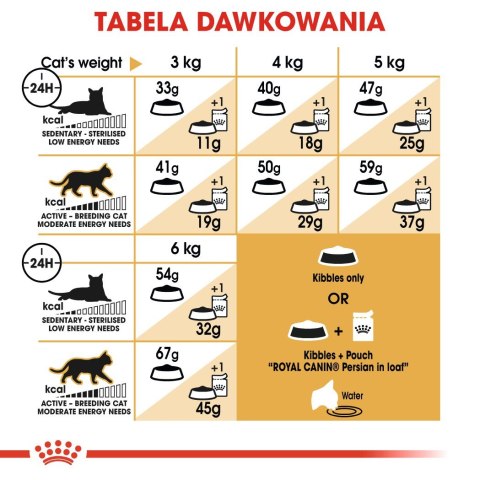 Royal Canin FBN Persian Adult - sucha karma dla kota dorosłego - 4kg Royal Canin Royal Canin FBN Persian Adult - sucha karma dla kota dorosłego - 4kg Royal Canin