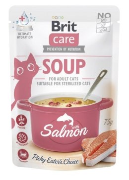 Brit Care Soup with salmon 75g cat Brit