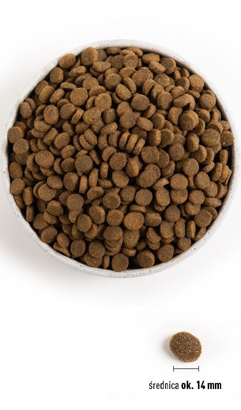 ACANA Highest Protein Pacifica Dog - sucha karma dla psa - 11,4 kg ACANA ACANA Highest Protein Pacifica Dog - sucha karma dla psa - 11,4 kg ACANA