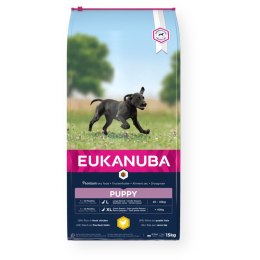 EUKANUBA Growing Puppy Large Breed - sucha karma dla szczeniąt ras dużych - 15 kg EUKANUBA