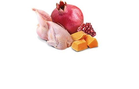 FARMINA N&D Pumpkin Quail & Pumpkin - mokra karma dla psa - 285g Farmina FARMINA N&D Pumpkin Quail & Pumpkin - mokra karma dla psa - 285g Farmina