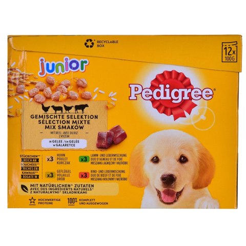 PEDIGREE Junior Wybór smaków w galaretce - mokra karma dla psa - 12x100 g Pedigree