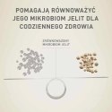 Purina ONE MINI Dog Active GiG wołowina, ziem. 85g PURINA NESTLE