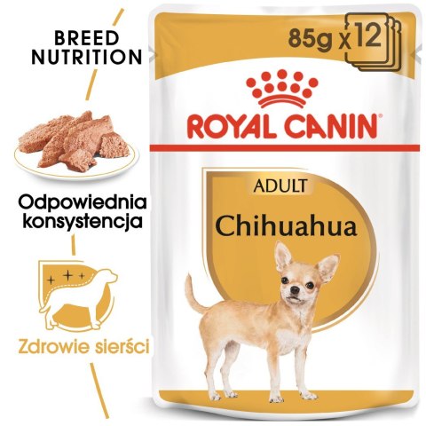 ROYAL CANIN BHN Chihuahua Adult - mokra karma dla psa dorosłego - 12x85g Royal Canin ROYAL CANIN BHN Chihuahua Adult - mokra karma dla psa dorosłego - 12x85g Royal Canin
