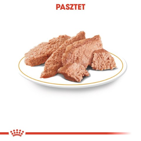 ROYAL CANIN BHN Chihuahua Adult - mokra karma dla psa dorosłego - 12x85g Royal Canin ROYAL CANIN BHN Chihuahua Adult - mokra karma dla psa dorosłego - 12x85g Royal Canin