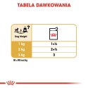 ROYAL CANIN BHN Chihuahua Adult - mokra karma dla psa dorosłego - 12x85g Royal Canin