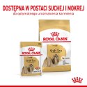 ROYAL CANIN BHN Shih Tzu Adult w formie pasztetu - mokra karma dla psa dorosłego - 12x85g Royal Canin