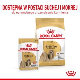 ROYAL CANIN BHN Shih Tzu Adult w formie pasztetu - mokra karma dla psa dorosłego - 12x85g Royal Canin