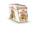 ROYAL CANIN BHN Shih Tzu Adult w formie pasztetu - mokra karma dla psa dorosłego - 12x85g Royal Canin