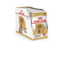ROYAL CANIN BHN Yorkshire Terrier Adult - mokra karma dla psa dorosłego - 12x85g Royal Canin