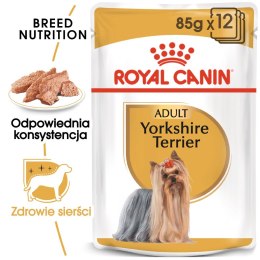ROYAL CANIN BHN Yorkshire Terrier Adult - mokra karma dla psa dorosłego - 12x85g Royal Canin