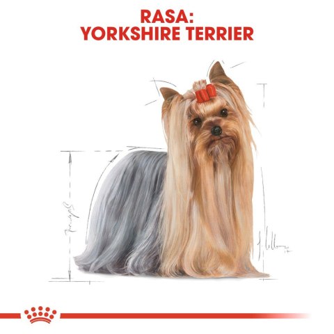 ROYAL CANIN BHN Yorkshire Terrier Adult - mokra karma dla psa dorosłego - 12x85g Royal Canin ROYAL CANIN BHN Yorkshire Terrier Adult - mokra karma dla psa dorosłego - 12x85g Royal Canin