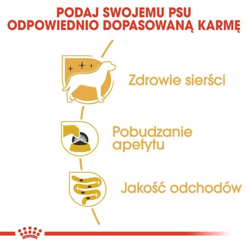 ROYAL CANIN BHN Yorkshire Terrier Adult - mokra karma dla psa dorosłego - 12x85g Royal Canin ROYAL CANIN BHN Yorkshire Terrier Adult - mokra karma dla psa dorosłego - 12x85g Royal Canin