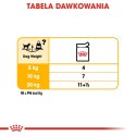 ROYAL CANIN CCN DERMACOMFORT LOAF mokra karma dla psa dorosłego - 12x85g Royal Canin