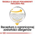 ROYAL CANIN CCN DERMACOMFORT LOAF mokra karma dla psa dorosłego - 12x85g Royal Canin