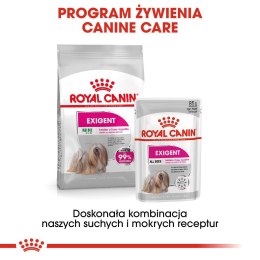 ROYAL CANIN CCN EXIGENT LOAF - mokra karma dla psa dorosłego - 12x85g Royal Canin