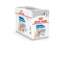 ROYAL CANIN CCN LIGHT WEIGHT CARE LOAF - mokra karma dla psa dorosłego - 12x85g Royal Canin