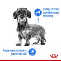 ROYAL CANIN CCN LIGHT WEIGHT CARE LOAF - mokra karma dla psa dorosłego - 12x85g Royal Canin