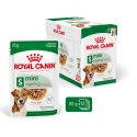 ROYAL CANIN Mini Ageing 12+ - mokra karma dla psa - 12x 85 g Royal Canin
