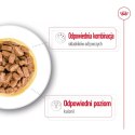 ROYAL CANIN Mini Ageing 12+ - mokra karma dla psa - 12x 85 g Royal Canin