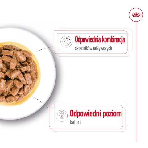 ROYAL CANIN Mini Ageing 12+ - mokra karma dla psa - 12x 85 g Royal Canin ROYAL CANIN Mini Ageing 12+ - mokra karma dla psa - 12x 85 g Royal Canin