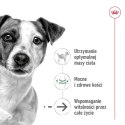 ROYAL CANIN Mini Ageing 12+ - mokra karma dla psa - 12x 85 g Royal Canin