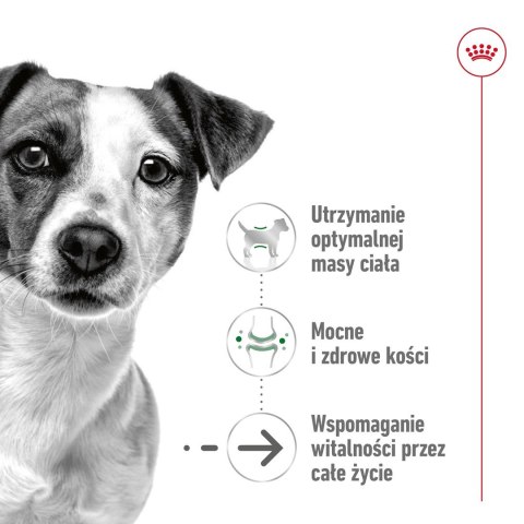 ROYAL CANIN Mini Ageing 12+ - mokra karma dla psa - 12x 85 g Royal Canin ROYAL CANIN Mini Ageing 12+ - mokra karma dla psa - 12x 85 g Royal Canin