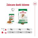 ROYAL CANIN Mini Ageing 12+ - mokra karma dla psa - 12x 85 g Royal Canin