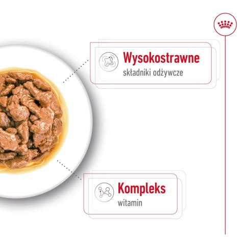 ROYAL CANIN SHN Mini Adult w sosie - mokra karma dla psa dorosłego - 12X85g Royal Canin ROYAL CANIN SHN Mini Adult w sosie - mokra karma dla psa dorosłego - 12X85g Royal Canin