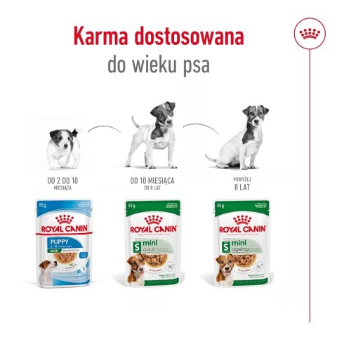 ROYAL CANIN SHN Mini Adult w sosie - mokra karma dla psa dorosłego - 12X85g Royal Canin ROYAL CANIN SHN Mini Adult w sosie - mokra karma dla psa dorosłego - 12X85g Royal Canin
