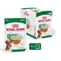 ROYAL CANIN SHN Mini Adult w sosie - mokra karma dla psa dorosłego - 12X85g Royal Canin