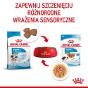 ROYAL CANIN SHN Mini Puppy w sosie - mokra karma dla szczeniąt - 12X85 g Royal Canin