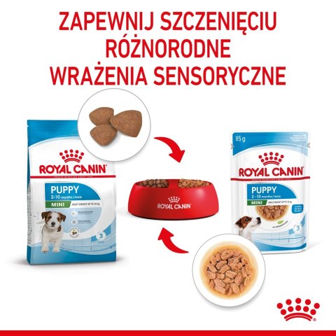 ROYAL CANIN SHN Mini Puppy w sosie - mokra karma dla szczeniąt - 12X85 g Royal Canin ROYAL CANIN SHN Mini Puppy w sosie - mokra karma dla szczeniąt - 12X85 g Royal Canin