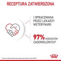 ROYAL CANIN SHN Mini Puppy w sosie - mokra karma dla szczeniąt - 12X85 g Royal Canin