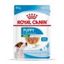 ROYAL CANIN SHN Mini Puppy w sosie - mokra karma dla szczeniąt - 12X85 g Royal Canin