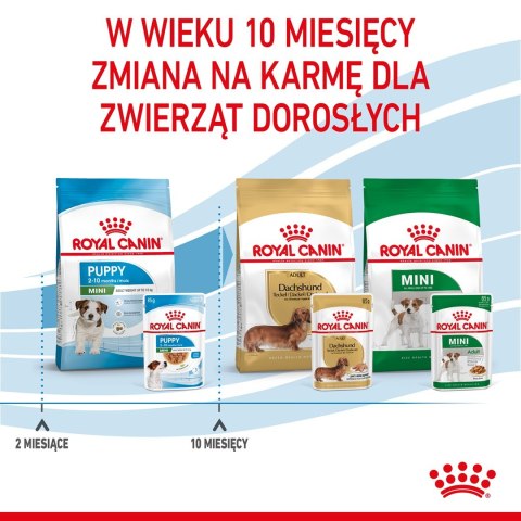 ROYAL CANIN SHN Mini Puppy w sosie - mokra karma dla szczeniąt - 12X85 g Royal Canin ROYAL CANIN SHN Mini Puppy w sosie - mokra karma dla szczeniąt - 12X85 g Royal Canin