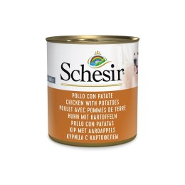 SCHESIR Adult Kurczak z ziemniakami 285g Agras Pet Foods
