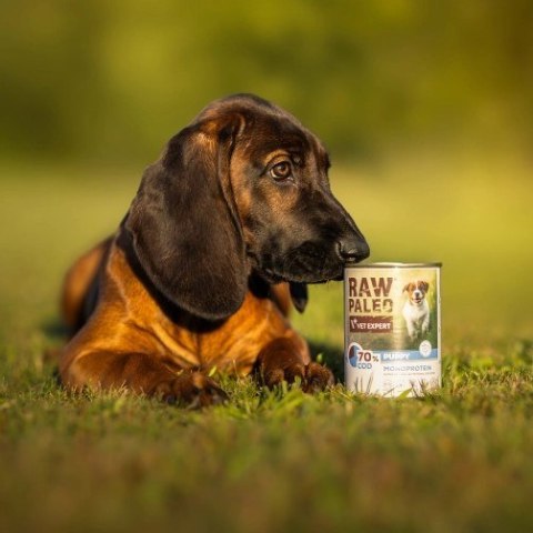 VetExpert Raw Paleo Dorsz Puppy Can 400g VetExpert VetExpert Raw Paleo Dorsz Puppy Can 400g VetExpert